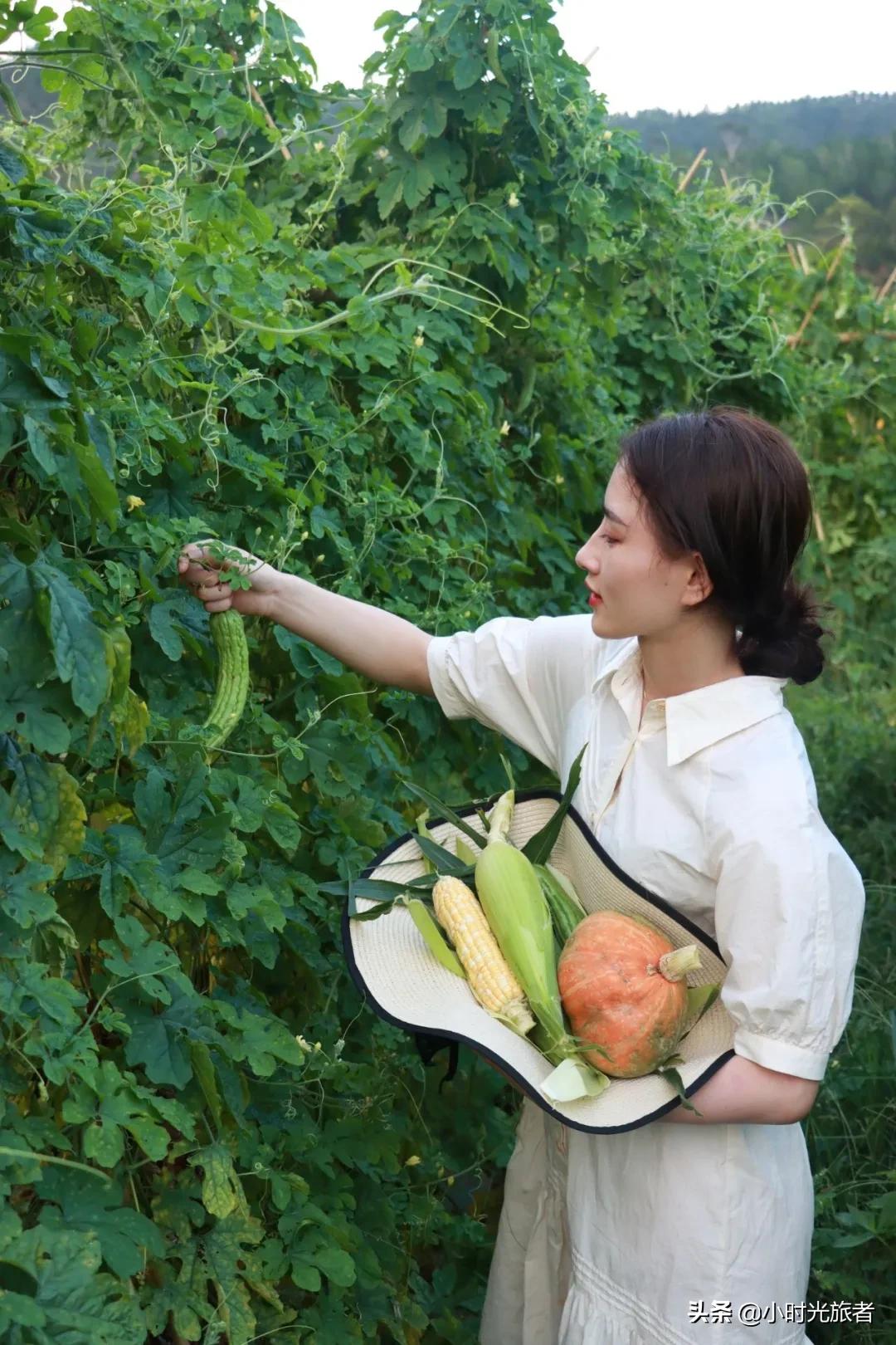 惠州横沥温泉民宿酒店,惠州横沥矮陂私人温泉民宿