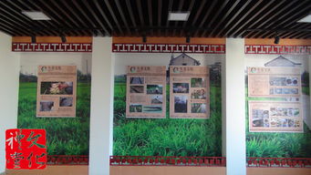 话说沈家弄｜钟埭有个自然村落却以“弄”为地名