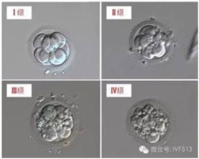 胚胎有碎片什么意思,胚胎碎片是不是由精子决定的