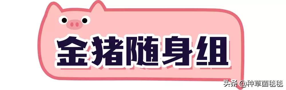 25块买啥,25块买什么东西