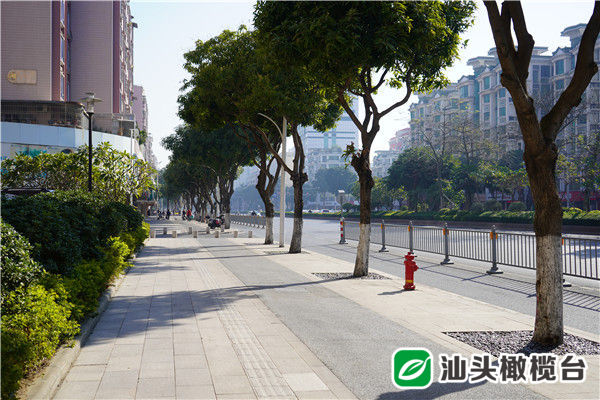 惠民福利棒棒哒！金砂东路（嵩山路—天山路）环境品质提升改造率先完成