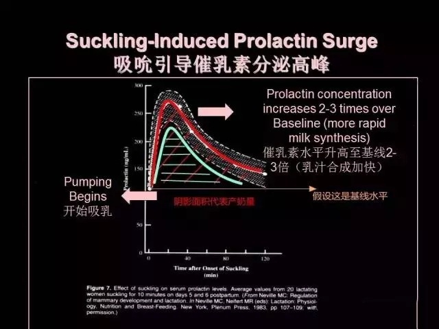 奶水不足如何用吸奶器追奶,泌乳不足