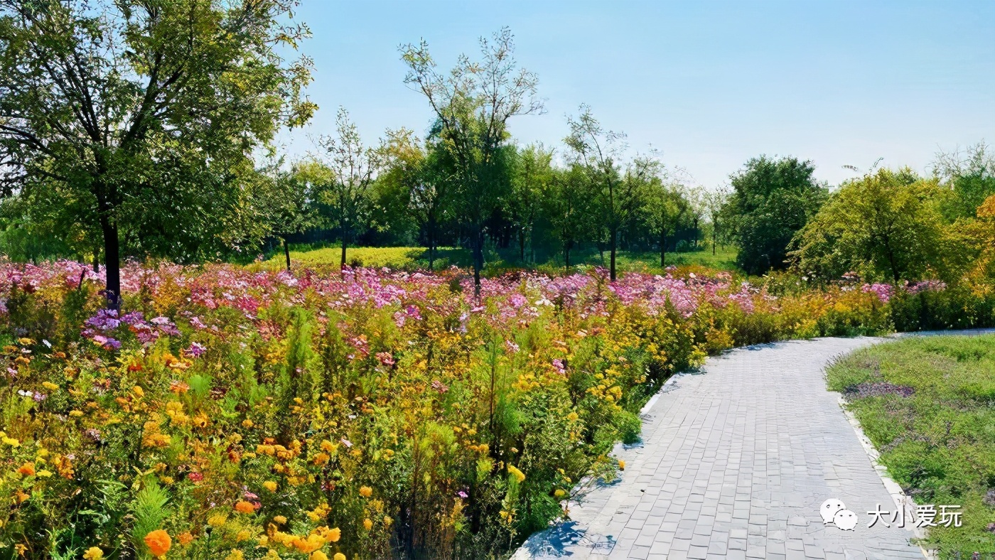 北京适合妈妈参观的地方,北京十大亲子室外乐园