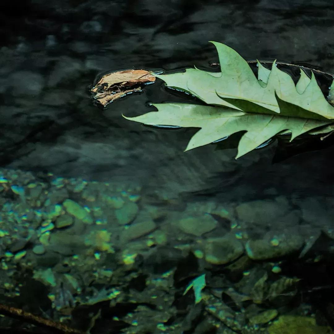 一去梵净，便懂了最美中国风