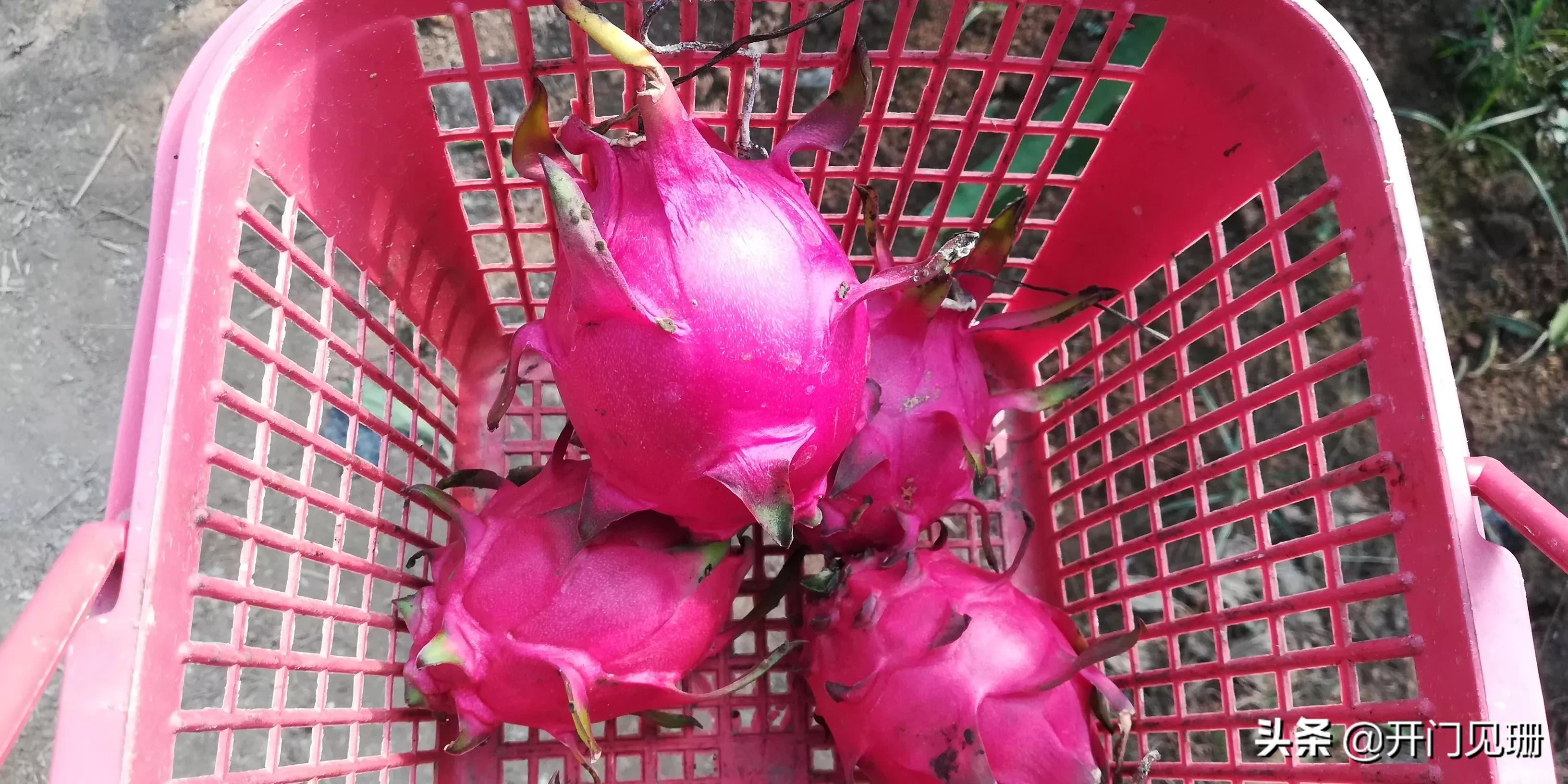 习惯性讨好的人，教你摆脱这种状态