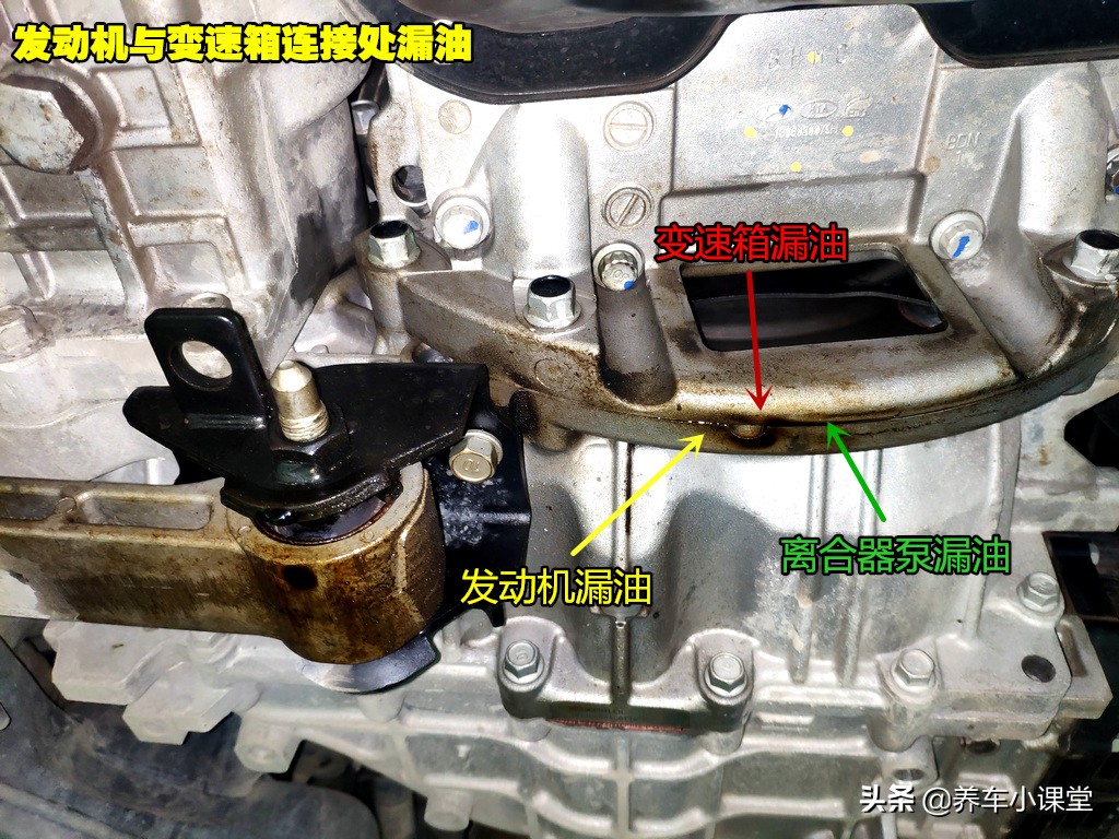 为啥机油漏油很难解决,曲轴后油封漏油与机油有关系吗