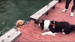 不说你永远不知道，脸上还能刮出这么多泥？