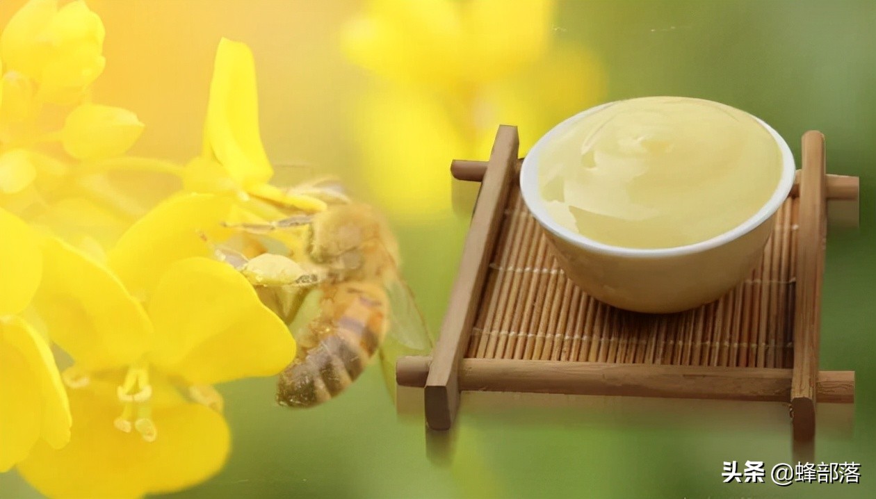 20元和200元的区别,蜂王浆一般需要多少钱一斤