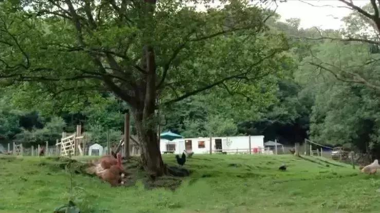 隐居深山30年以种地为生,隐居深山生活养动物