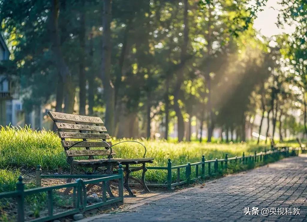 掌握养生方法,掌握食疗养生要了解四气五味