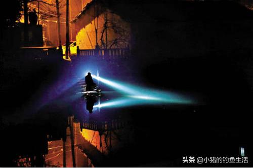 “酷暑三伏钓早晚”，今天来聊聊夜钓