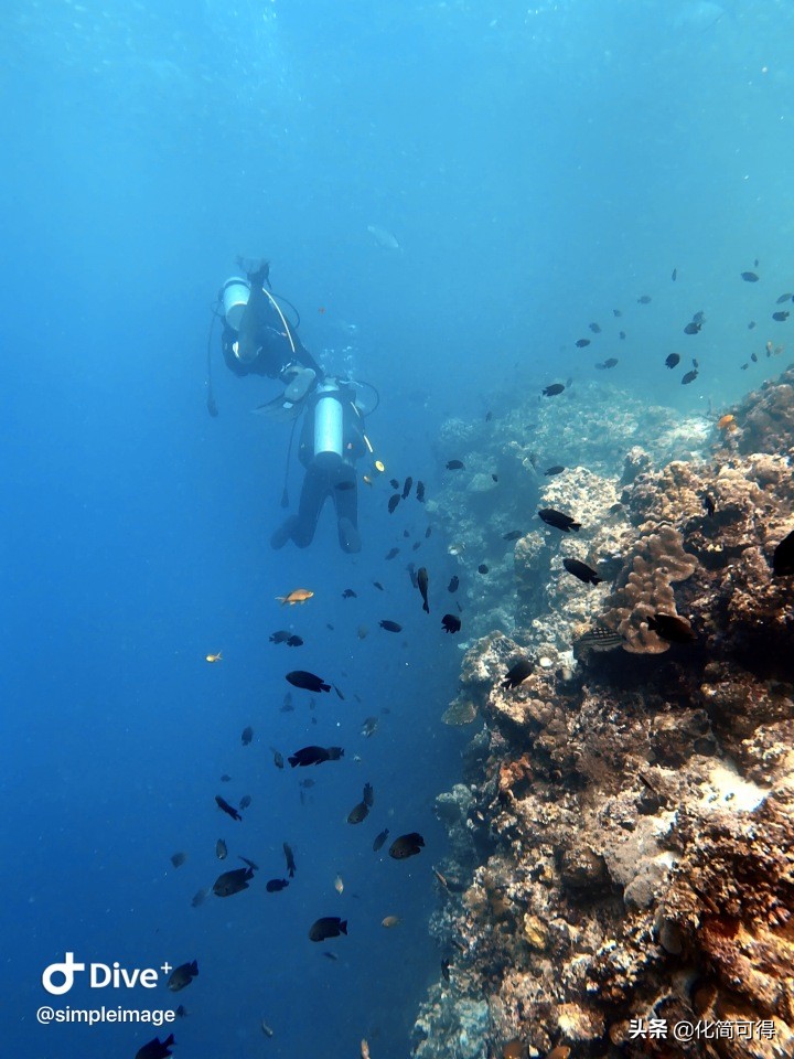 600元玩转澳门三天两夜全攻略,5000块钱玩菲律宾六个海岛