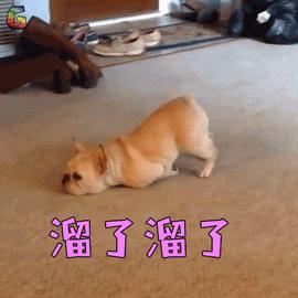 底在哪？奉陪到底！