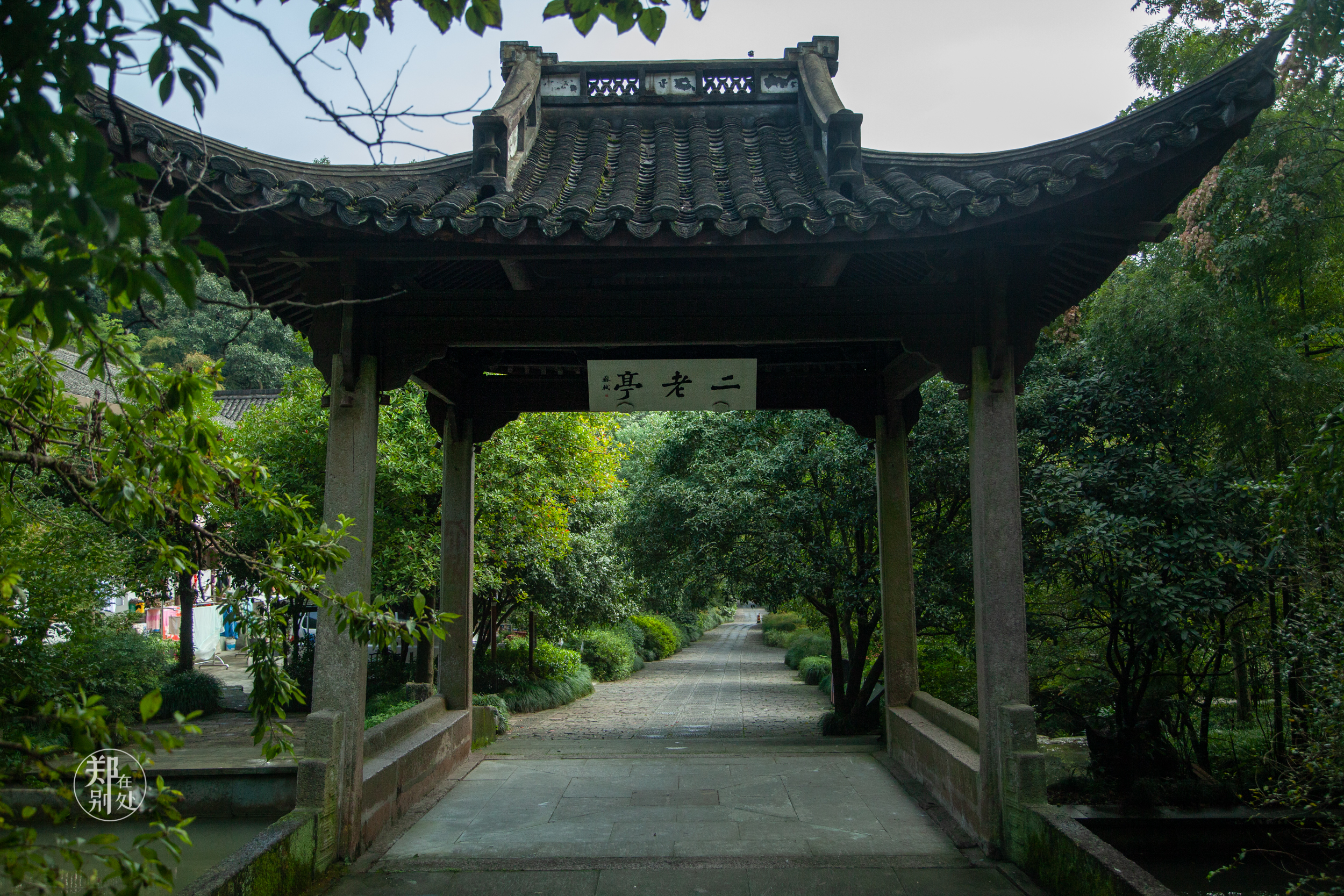 坐公交游杭州几路最好,杭州87路公交沿路风景