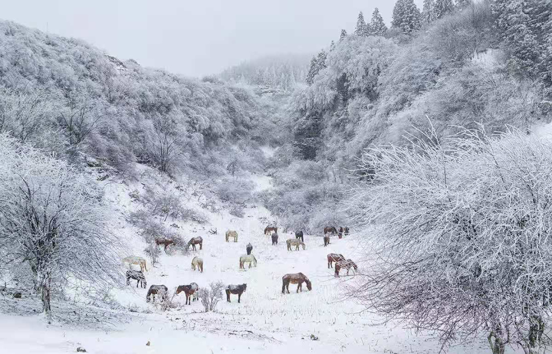 热腾腾麻辣火锅,8d魔幻山城重庆美食街