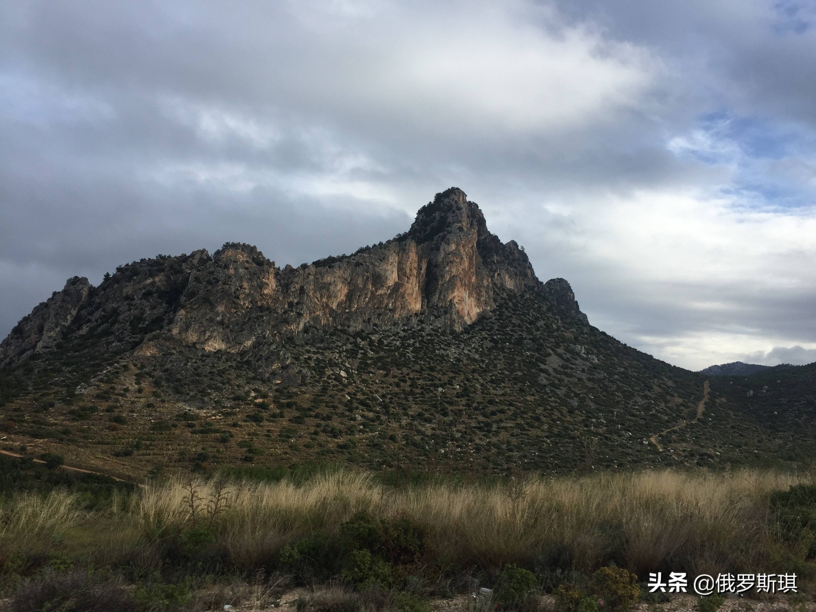 北塞浦路斯土耳其共和国gdp,北塞浦路斯土耳其共和国被承认吗