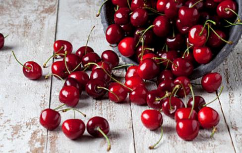 重庆周边摘樱桃,重庆北碚摘樱桃的地方