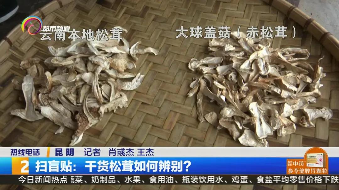 买到假虫草怎么检测,西藏买到假松茸