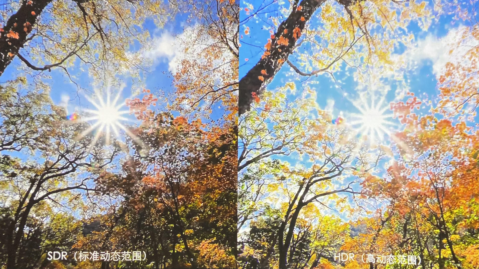 在家装一个3d的电影院,在家装个电视