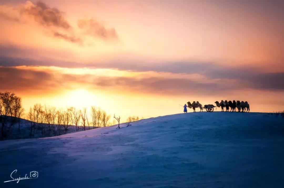 冬日的坝美有多美,冬日的坝上草原