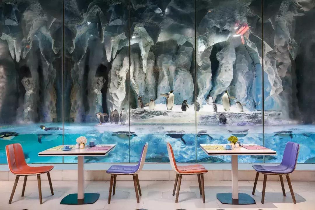 珠海海泉湾维景国际大酒店自助餐,珠海华发喜来登酒店自助餐价格