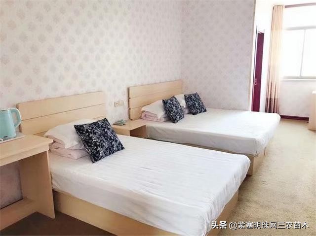 长岛值得去的渔家乐,长岛美丽的海岛