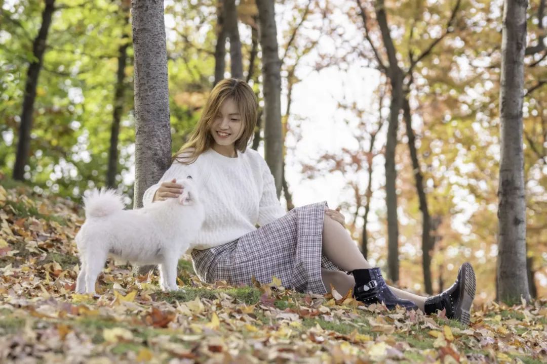 十堰银杏风景区在哪里,十堰银杏景点