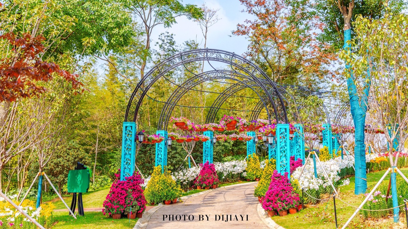 金坛花谷奇缘有什么地方值得打卡,金坛花谷奇缘赏花攻略