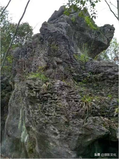 张家界慈利新项目,张家界慈利江垭的新项目