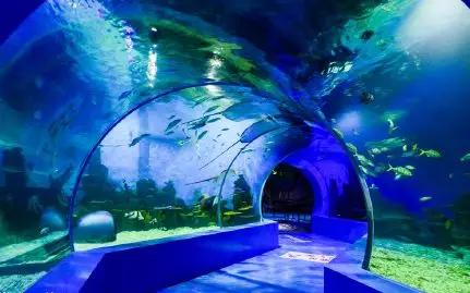 昆明亲子乐园游玩攻略,昆明周边游童话世界亲子乐园