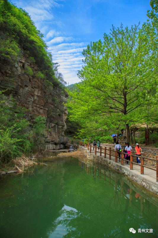 青州泰和山黄花溪,青州黄花溪风景区门票直播