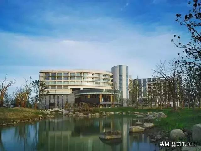 带宠物住宿酒店,带宠旅行酒店