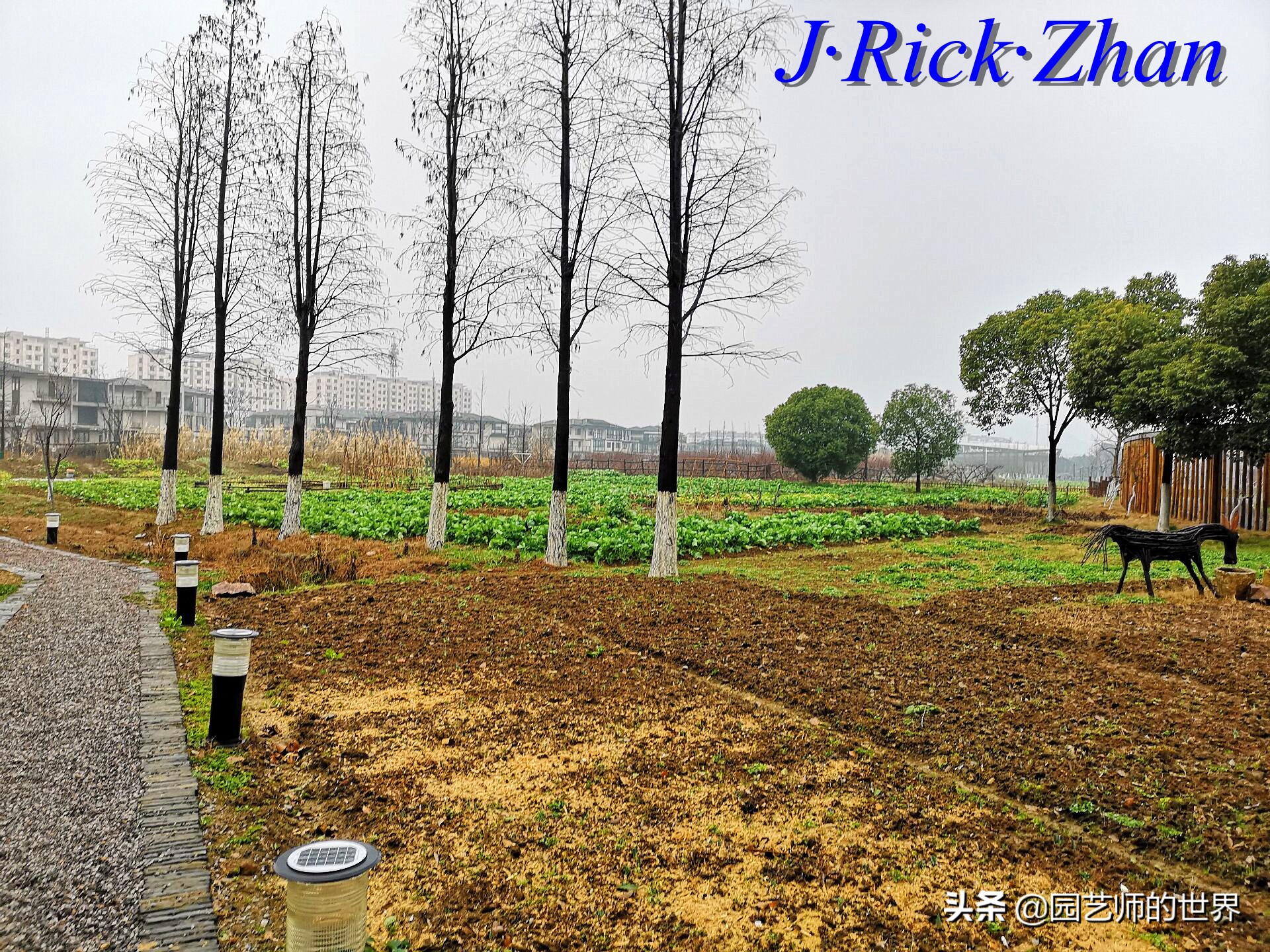 园艺研学报告,园艺园林研学