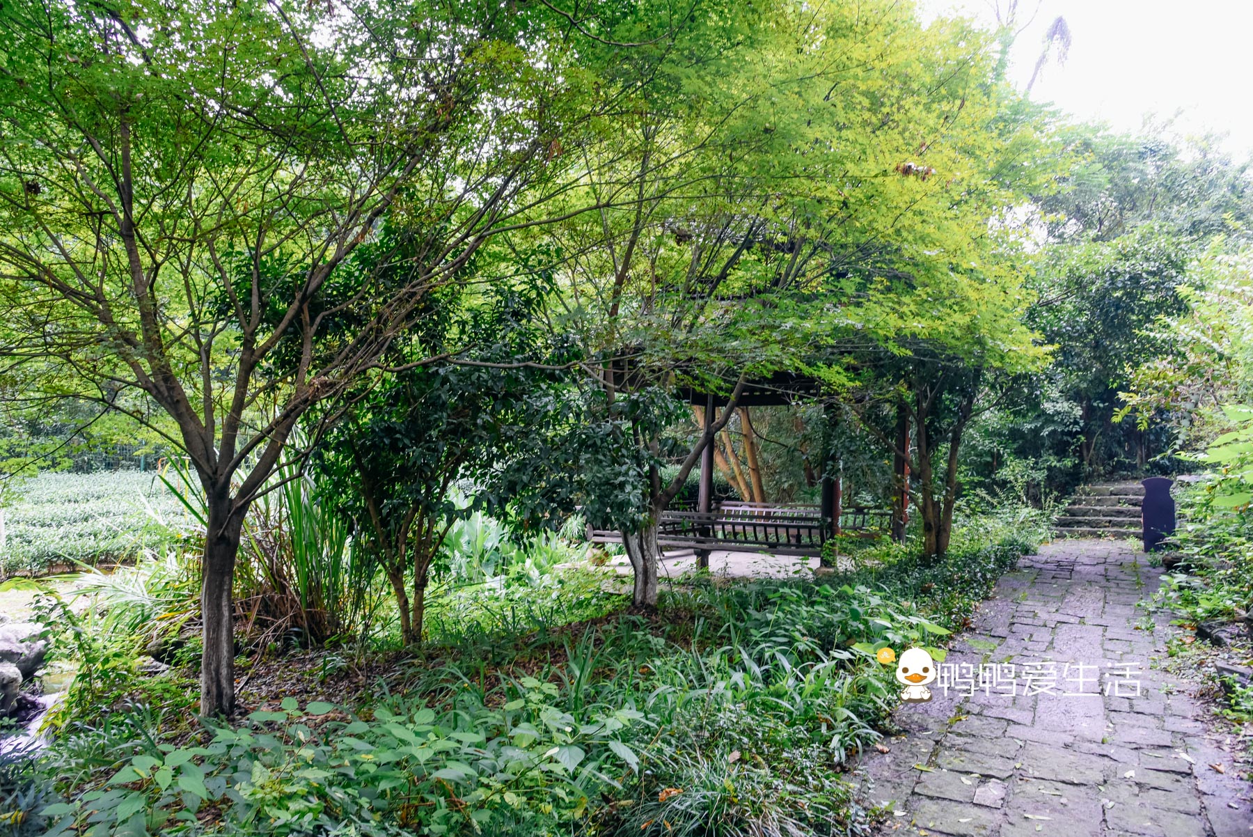 杭州乾隆游览过的景点,杭州景点推荐最值得去的景区