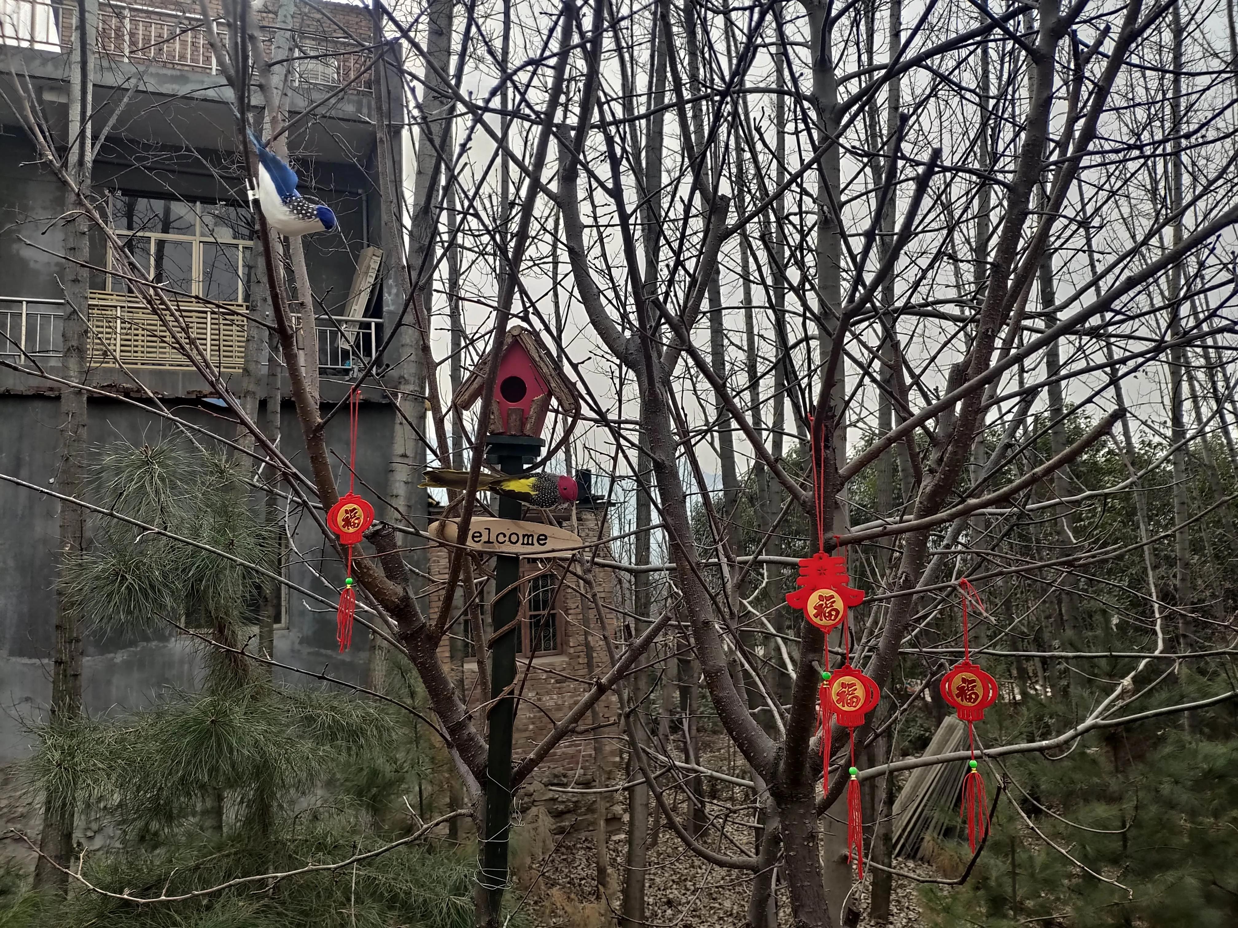 蓝田县旅游发展总体规划,西安蓝田的发展