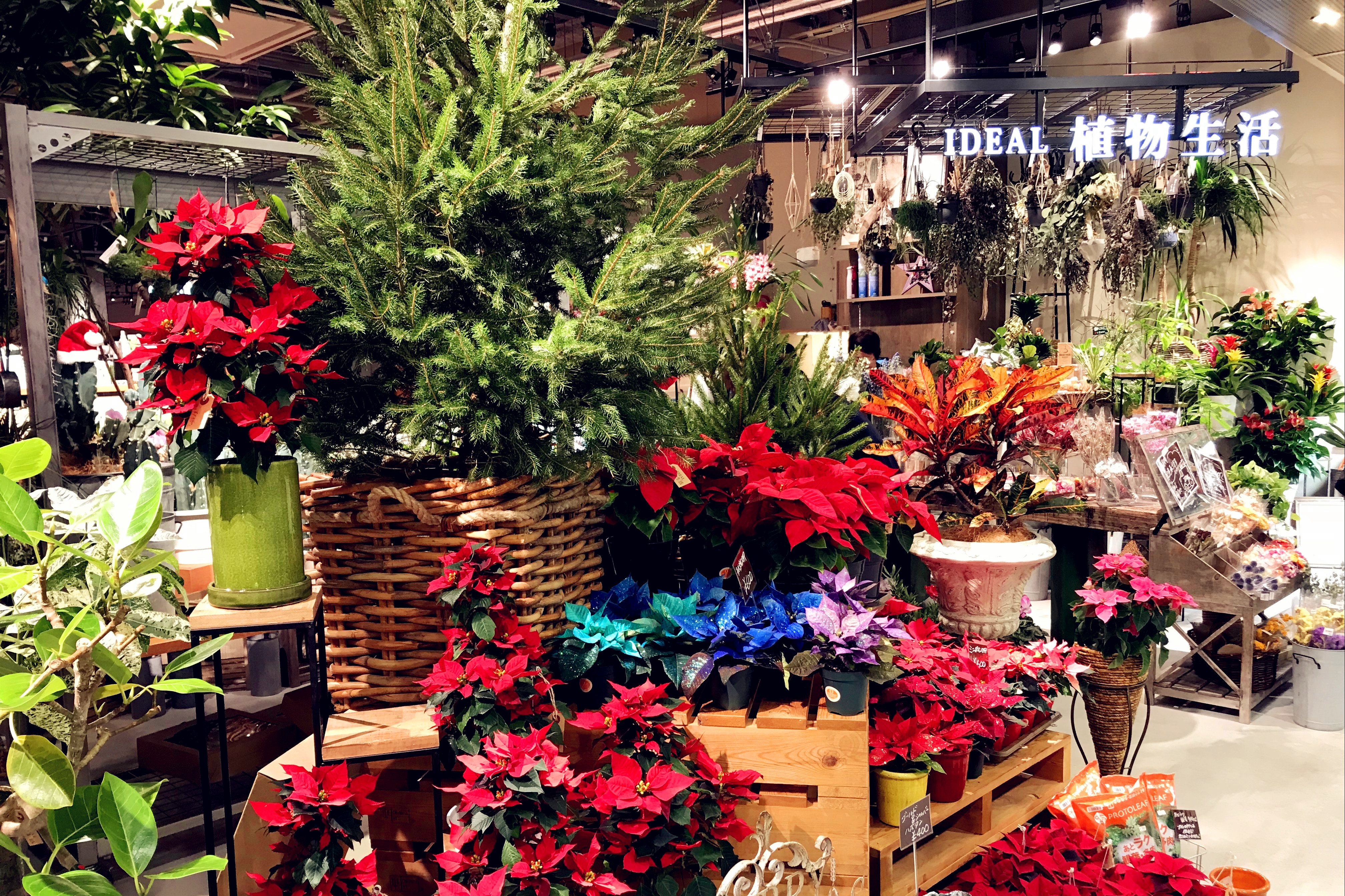 日本银座必买的地方,日本购物必买的10个地方