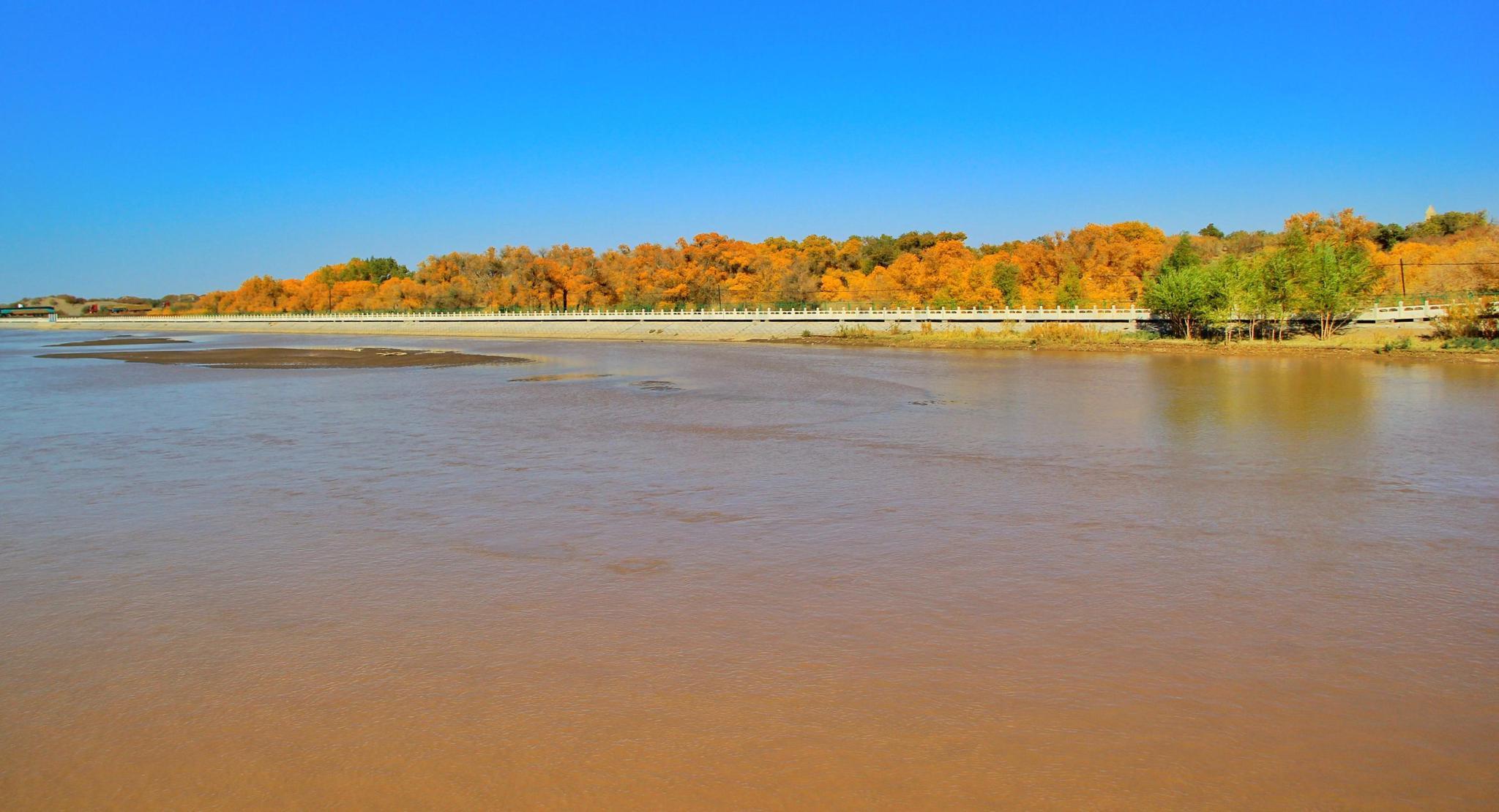 我滴个乖乖！甘肃竟然有这么多的世界珍贵动物