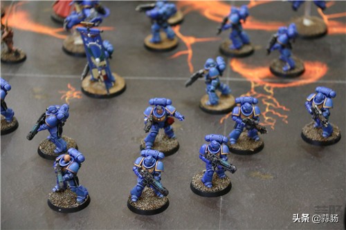 wf手办展飞天,wf上海限定手办