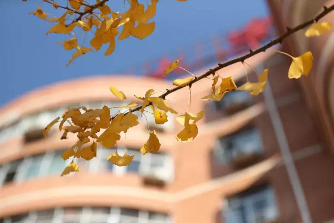 井冈山大学在井冈山上吗？19级萌新请听清——吉安火车站下车