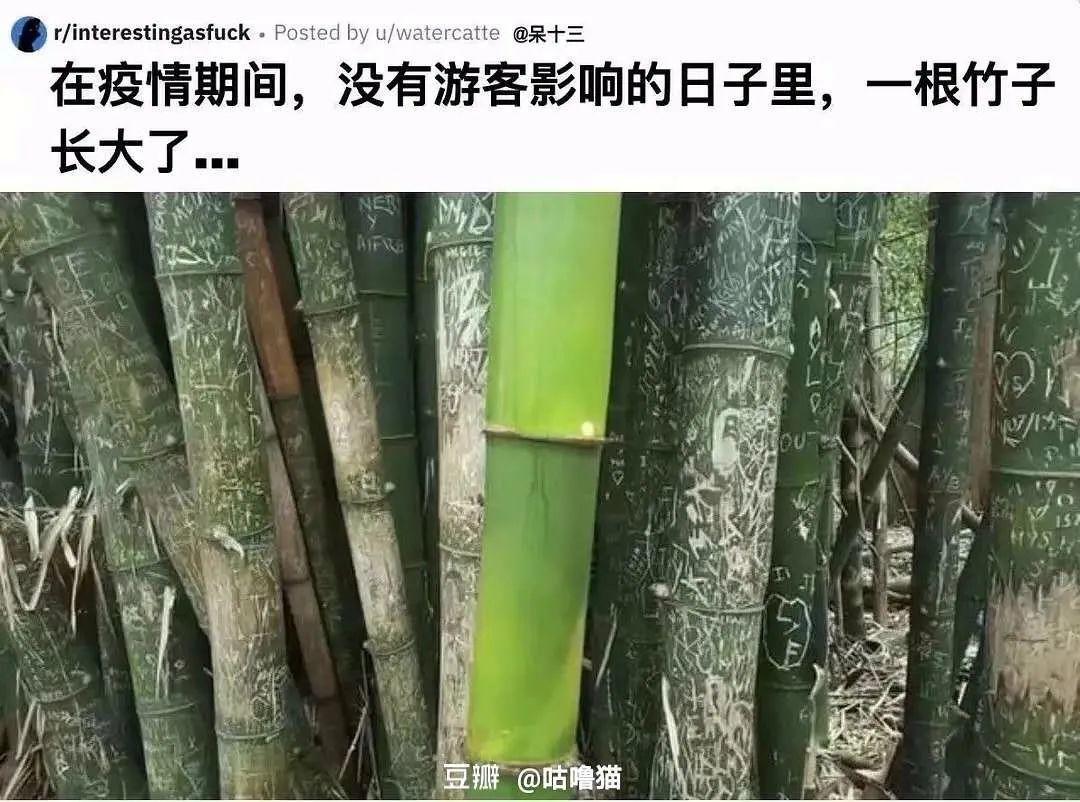 国内评分低国外评分高的电视剧,上映八天评分飙到8.4