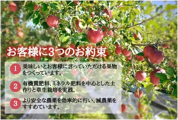 日本农民年收入超49万元，如何高效学习日本农业？