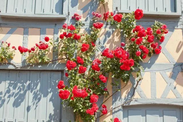 人性的六大用人之道,人性十大铁律三十条