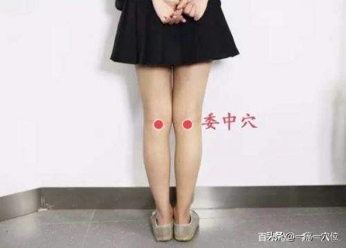 腰痛为什么要选委中穴,为什么腰痛按委中穴很明显呢