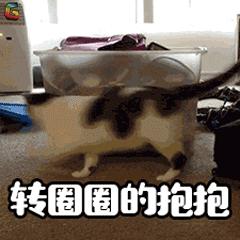 深圳爵士舞基础课程,民治舞蹈培训哪家好