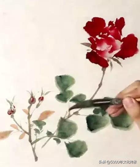 国画技法月季花写意画法详解,中国画写意月季花的详细画法