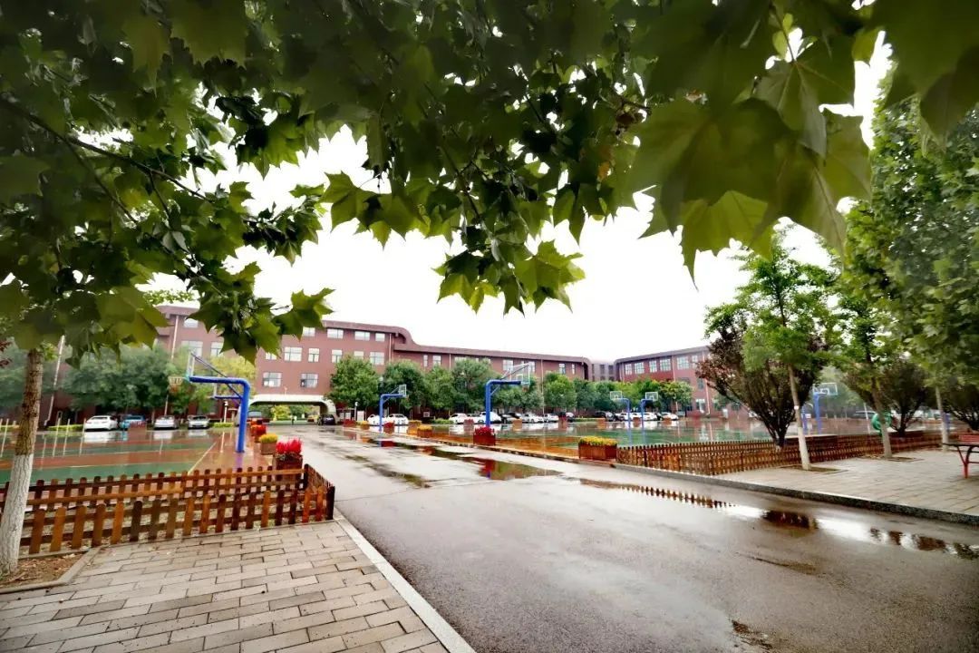 北京所有小学排名一览表,北京30所小学排名一览表