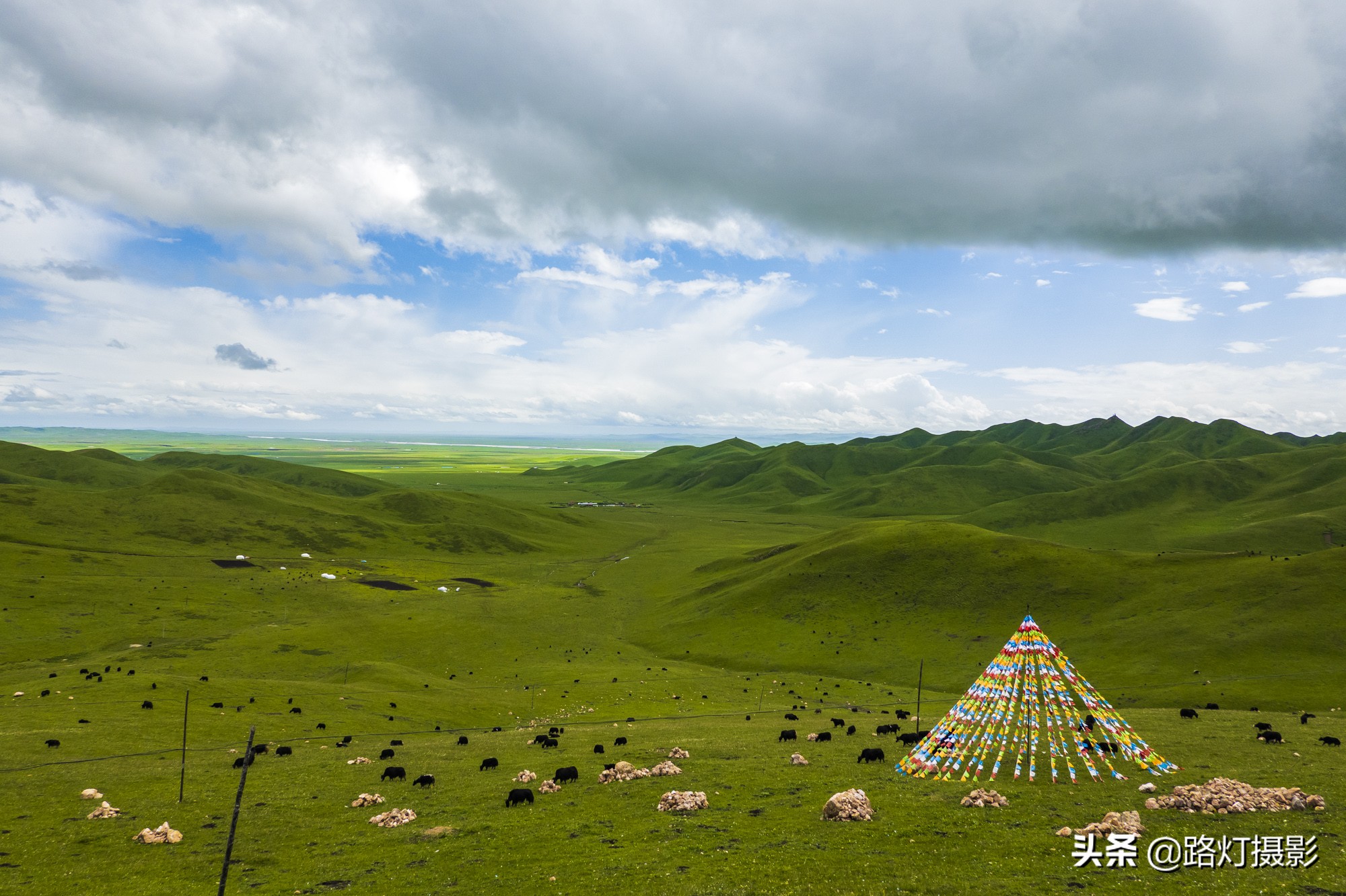 惊艳!八月最佳旅行地,“绝色甘南”美成仙境,所有景区免门票