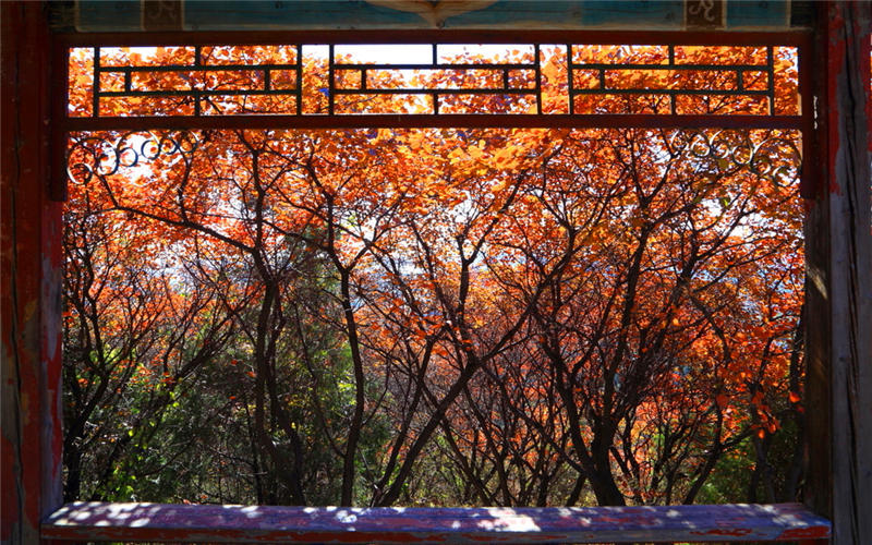 北京赏秋十大打卡地,北京赏秋