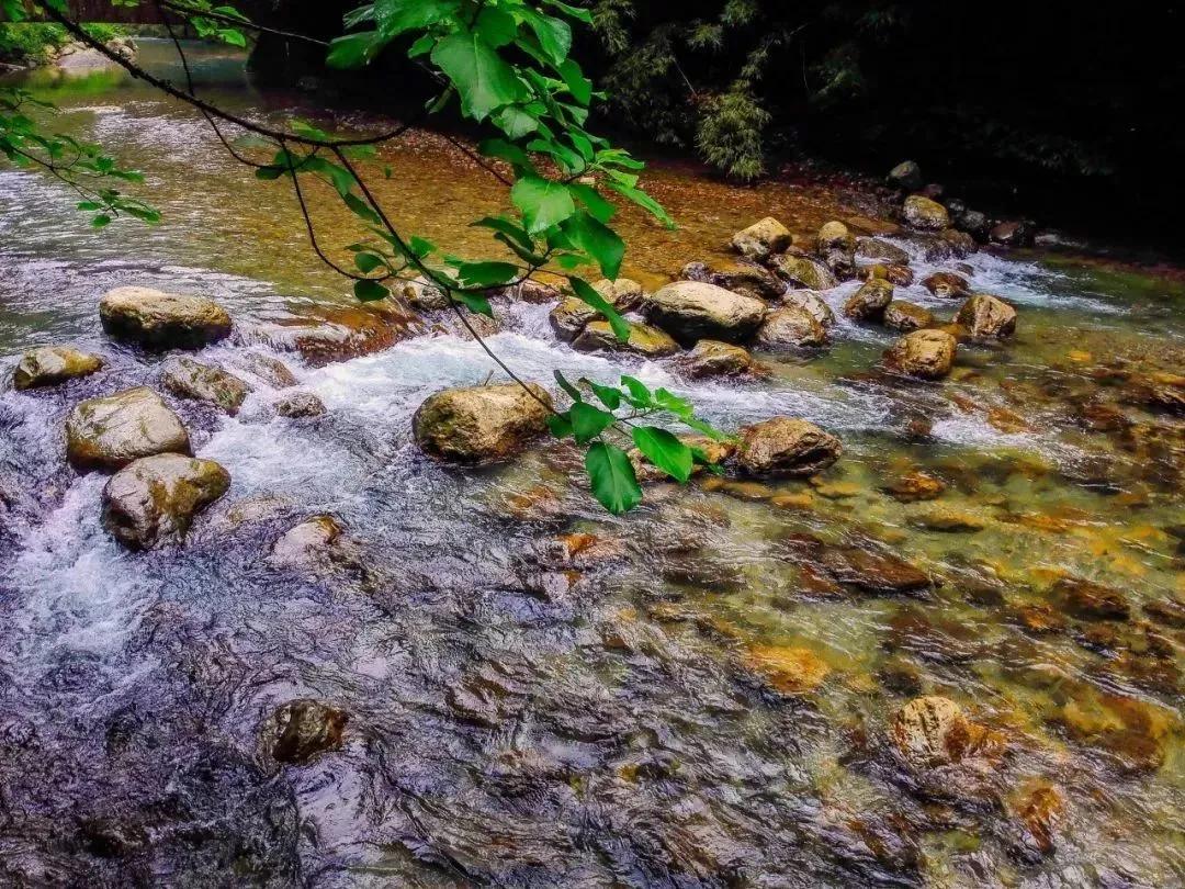国学经典十句精华,人生必读的十大国学经典