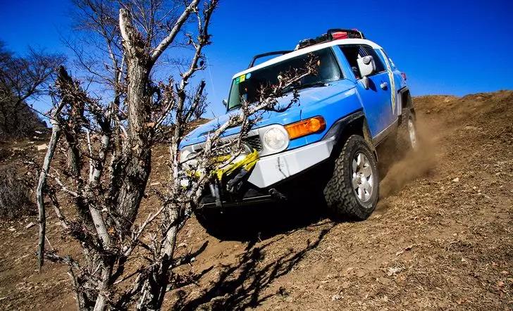 丰田车系大全霸道和陆巡,2022款丰田陆巡霸道2.5l